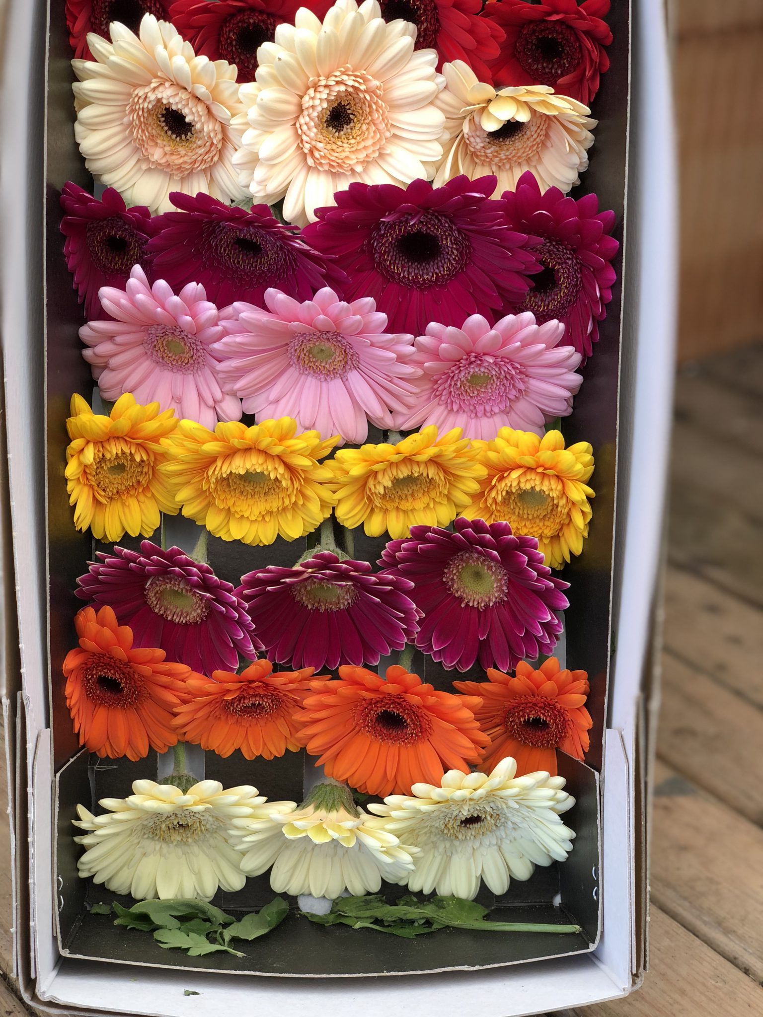 Bestellung LangstielBlumen im Karton Da Bleame Mo